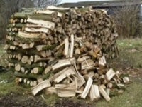 Firewood Not Allowed