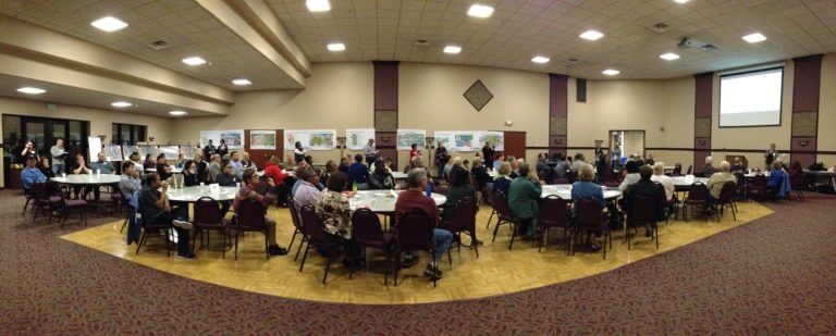 Bottineau Community Survey