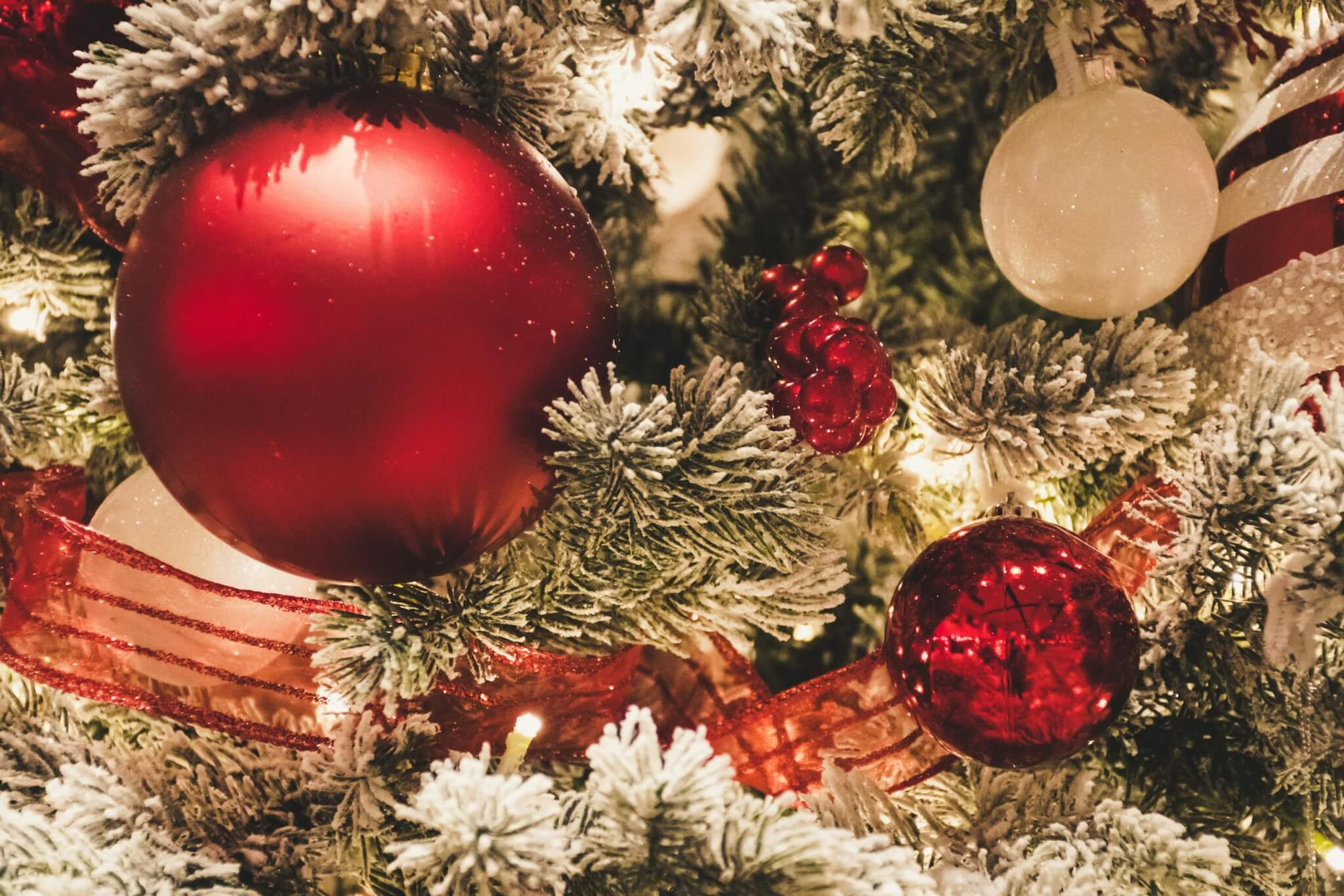 Close-up of festive Christmas tree decorated with red and white ornaments and snow-covered branches.